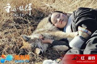 狼群电影,铁血征程，共赴生死